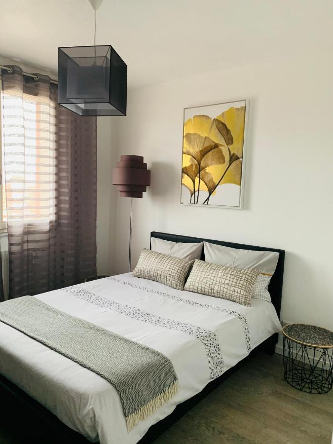 St Louis Appartement Roanne Eksteriør bilde
